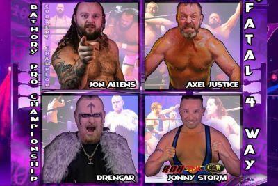Wrestling live show poster